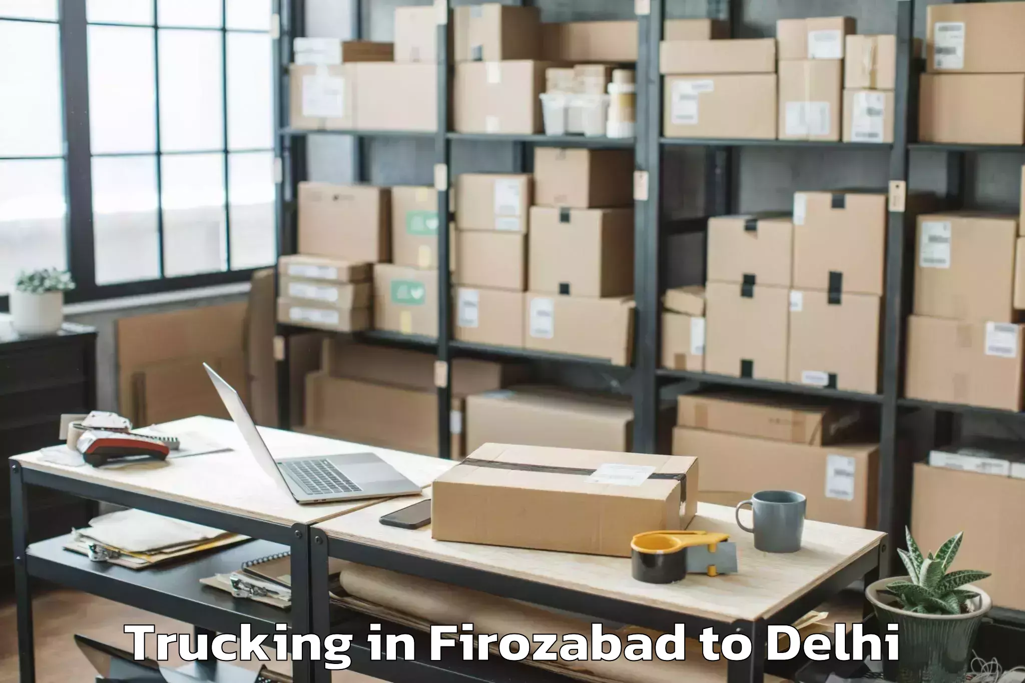 Professional Firozabad to D Mall Rohini Trucking